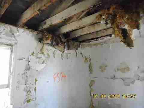 13021 Kelly (22)_m.jpg